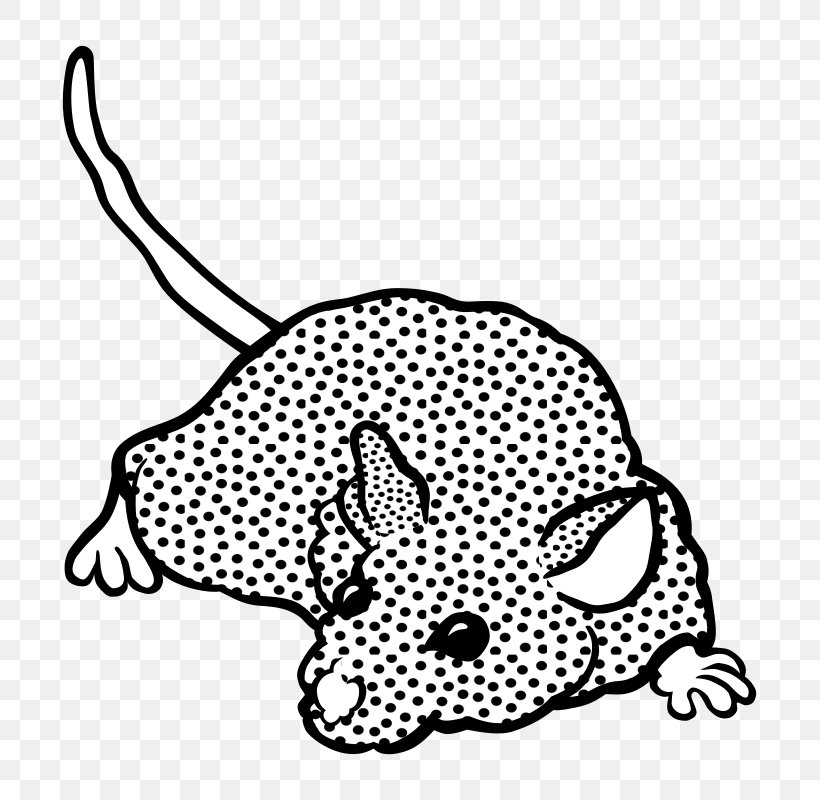 Black And White Computer Mouse Drawing Clip Art, PNG, 785x800px, Black And White, Area, Big Cats, Black, Carnivoran Download Free