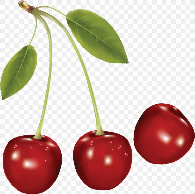 Cherry Clip Art, PNG, 3569x3546px, Cherry, Acerola, Acerola Family, Black Cherry, Drupe Download Free