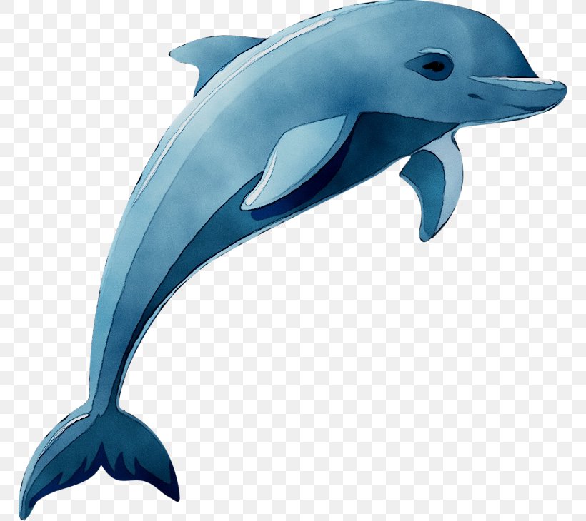 free dolphin wmf clipart