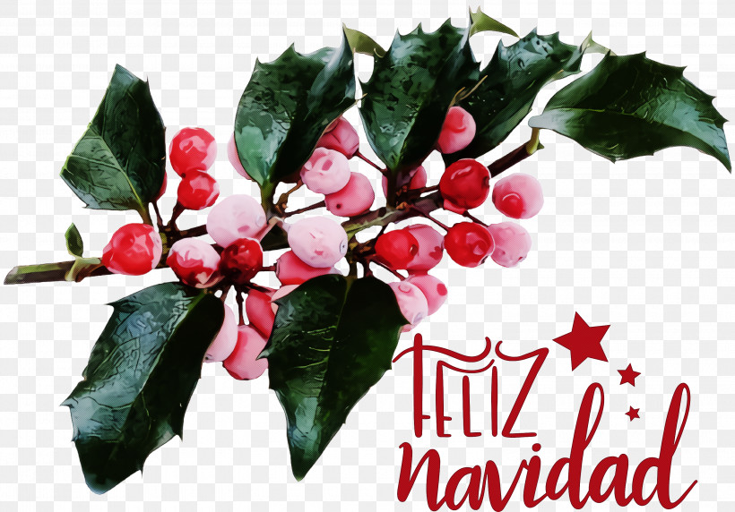 Feliz Navidad Merry Christmas, PNG, 3000x2095px, Feliz Navidad, Aquifoliaceae, Aquifoliales, Branch, Christmas Day Download Free