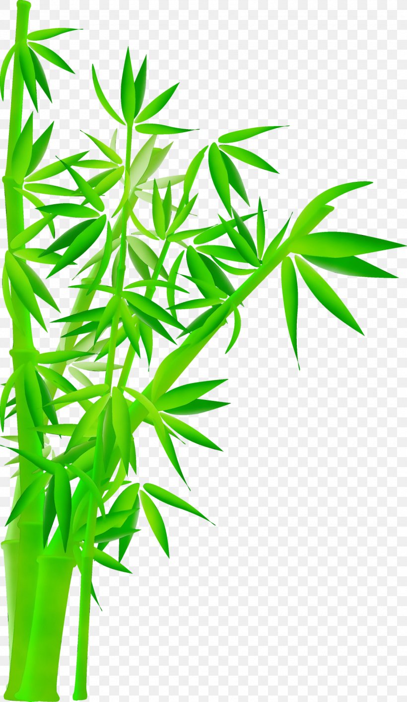 Leaf Plant Plant Stem Flower Grass, PNG, 1740x3000px, Watercolor, Bamboo, Flower, Flowering Plant, Grass Download Free