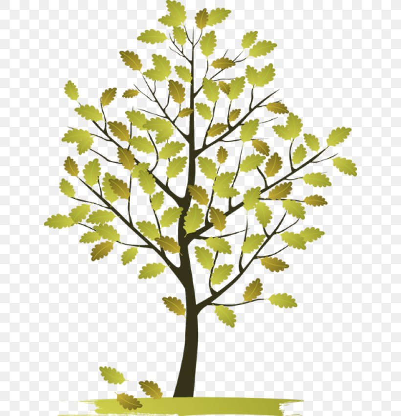 Tree Clip Art, PNG, 640x851px, Tree, Blog, Bonsai, Branch, Flowering Plant Download Free