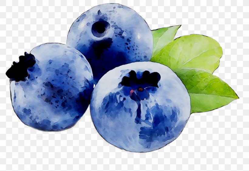 Blueberry Bilberry Fruit Actimel, PNG, 1523x1044px, Blueberry, Actimel, Aubergines, Berry, Bilberry Download Free
