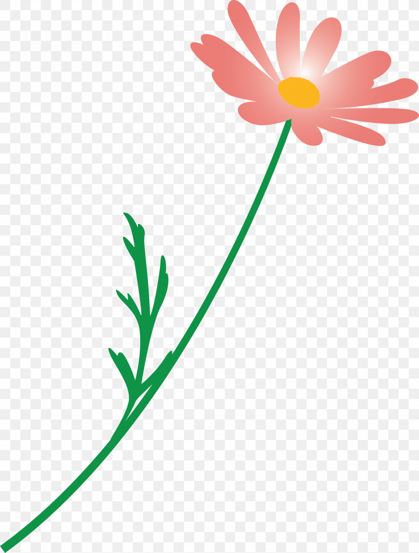 Marguerite Flower Spring Flower, PNG, 2275x3000px, Marguerite Flower, Chamomile, Daisy Family, Flower, Mayweed Download Free