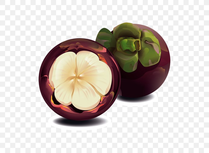Purple Mangosteen Fruit Clip Art, PNG, 600x600px, Purple Mangosteen, Element, Fruit, Mangifera Indica, Superfood Download Free