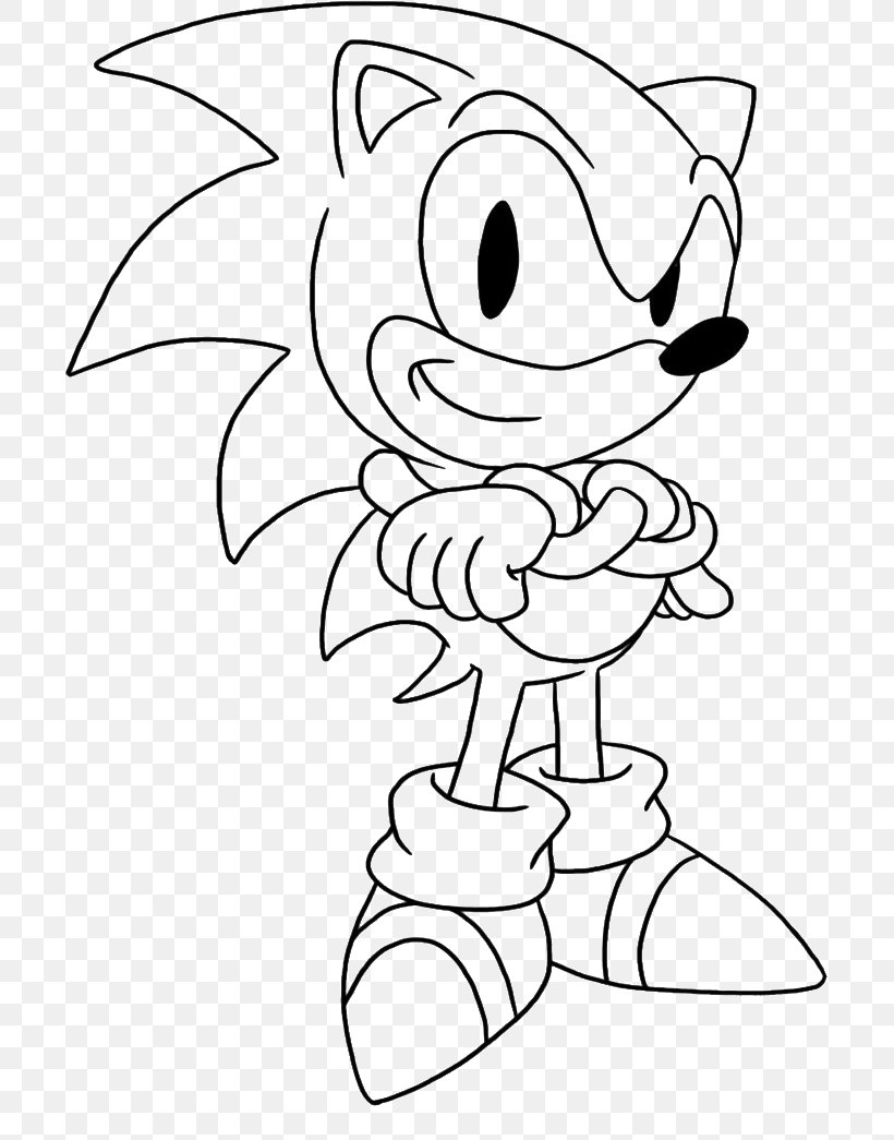 Sonic Chaos Amy Rose Sonic Colors Shadow The Hedgehog Colouring Pages, PNG, 700x1045px, Watercolor, Cartoon, Flower, Frame, Heart Download Free