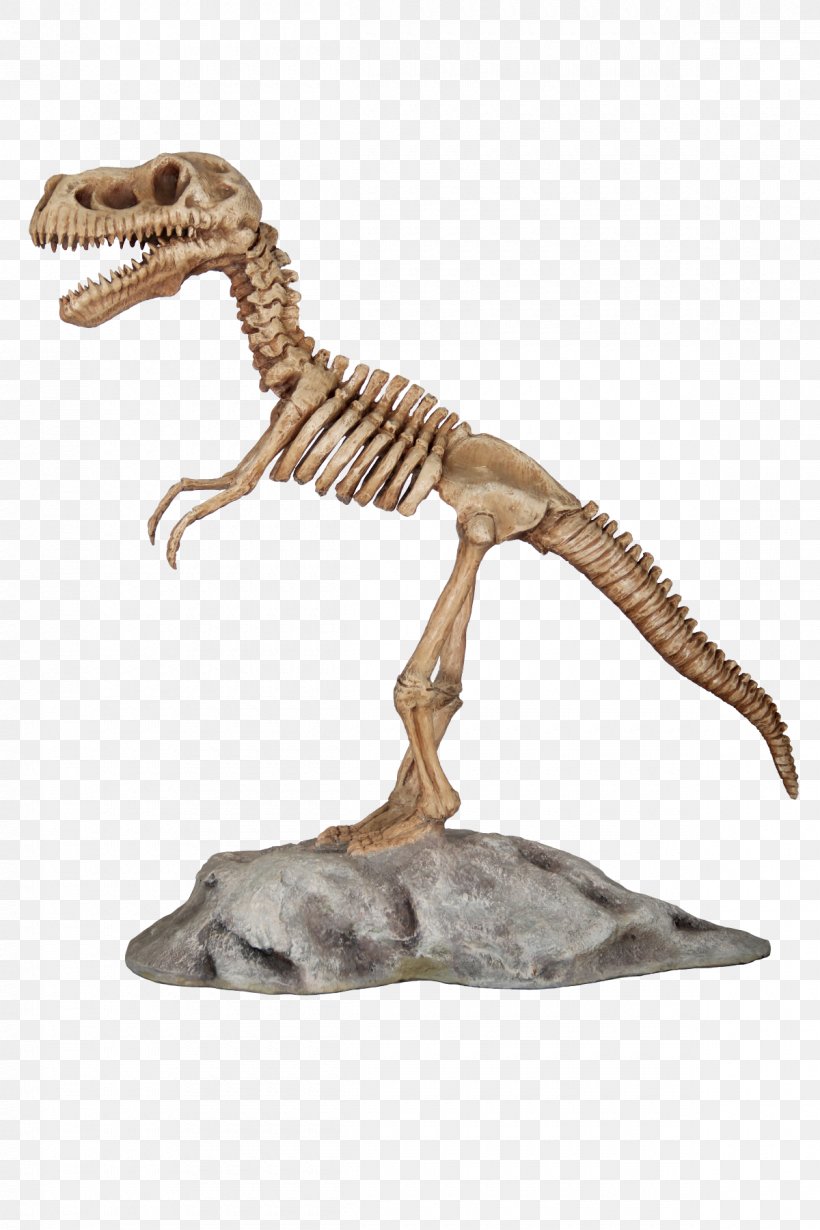 Tyrannosaurus Velociraptor Dinosaur Skeleton Animal, PNG, 1200x1800px,  Tyrannosaurus, Animal, Animal Figure, Database, Deviantart Download Free
