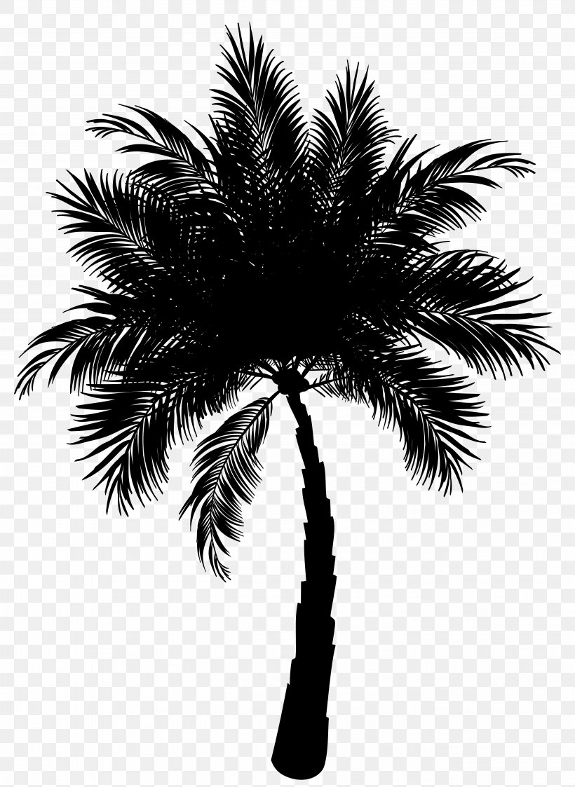 Asian Palmyra Palm Date Palm Vector Graphics Palm Trees Clip Art, PNG, 5256x7199px, Asian Palmyra Palm, Arecales, Attalea Speciosa, Blackandwhite, Borassus Download Free
