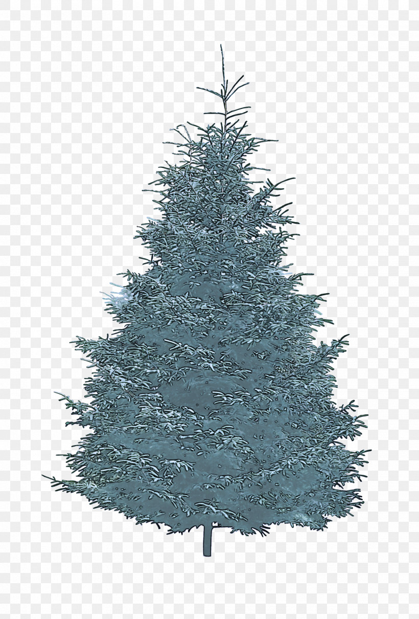 Christmas Tree, PNG, 2032x3000px, Shortleaf Black Spruce, American Larch, Arizona Cypress, Balsam Fir, Canadian Fir Download Free