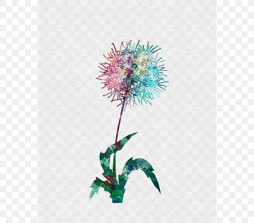 Watercolor Painting Dandelion Drawing, PNG, 576x720px, Watercolor Painting, Art, Artificial Flower, Arts, Chrysanths Download Free