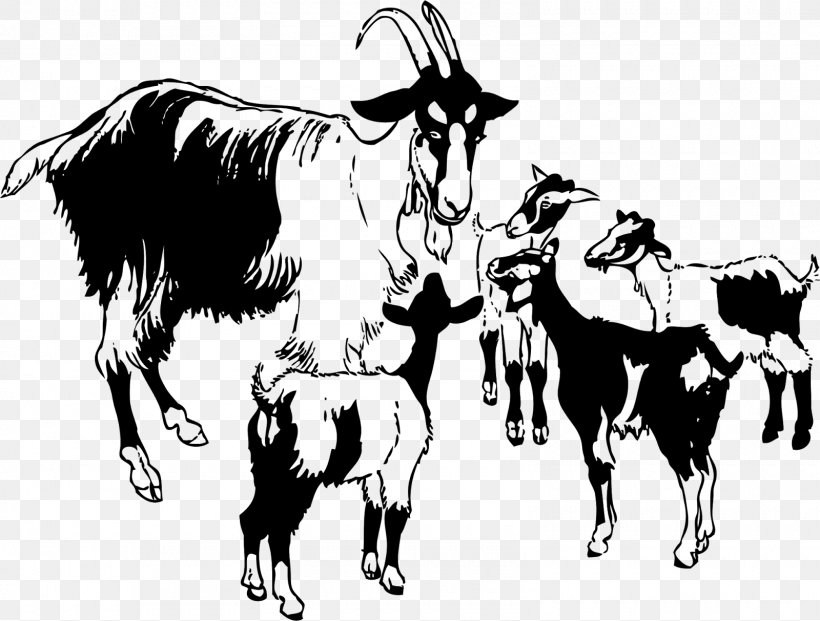 Boer Goat Pygmy Goat Goat Meat Clip Art, PNG, 1600x1213px, Boer Goat, Art, Black And White, Bull, Cattle Like Mammal Download Free