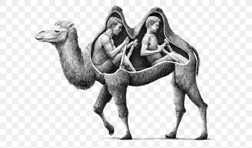 Drawing Artist Surrealism Illustration, PNG, 640x483px, Drawing, Art, Artist, Black And White, Camel Download Free