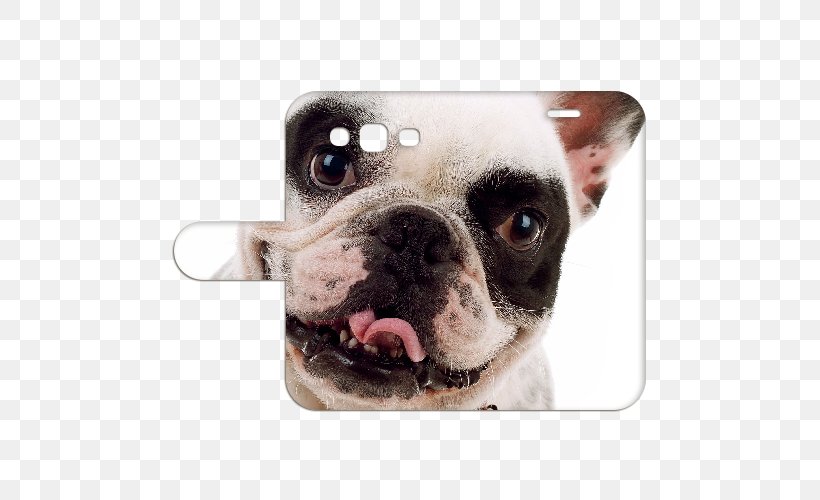 French Bulldog Puppy Samsung, PNG, 500x500px, Bulldog, Album Cover, Bark, Boston Terrier, Carnivoran Download Free