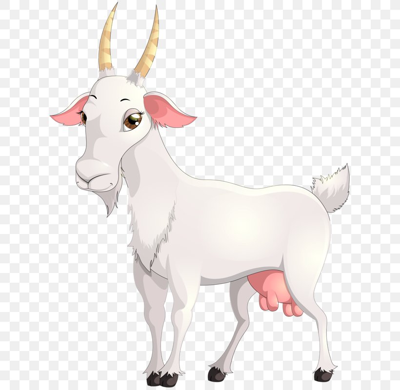 Goat Sheep Cattle Clip Art, PNG, 623x800px, Goat, Can Stock Photo, Cattle, Cattle Like Mammal, Cow Goat Family Download Free