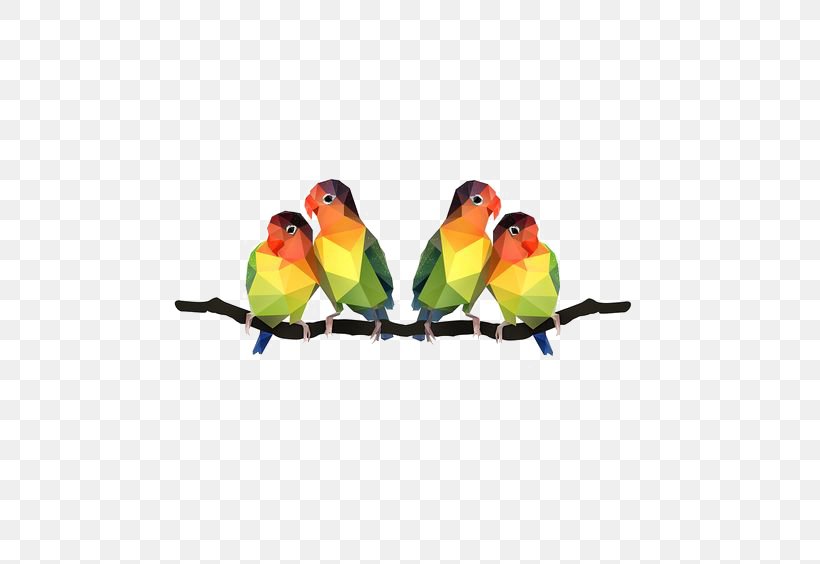 Lovebird Parrot Illustration, PNG, 564x564px, Lovebird, Animal, Beak, Bird, Bird Supply Download Free