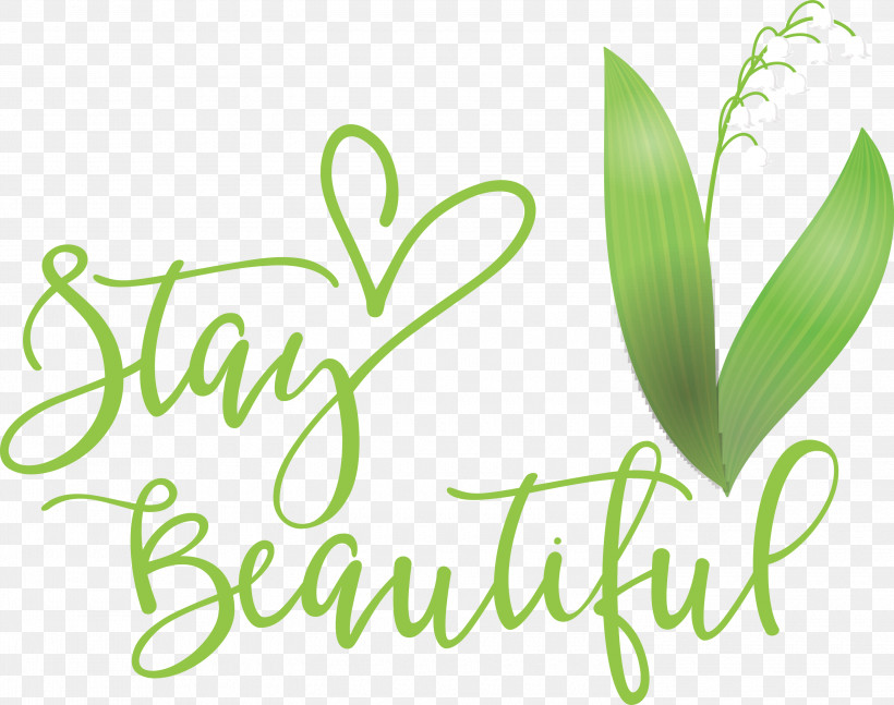 Stay Beautiful Fashion, PNG, 3000x2368px, Stay Beautiful, Biology, Fashion, Grasses, Green Download Free
