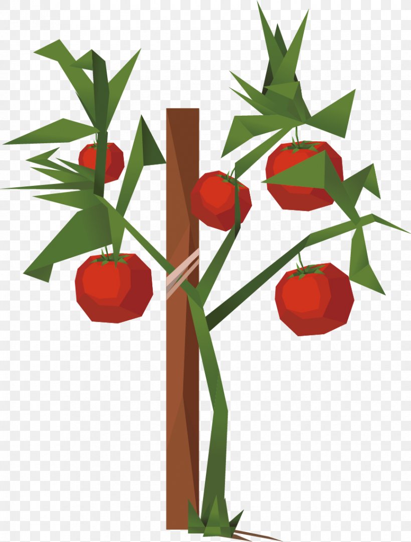 Tomato Clip Art, PNG, 866x1143px, Tomato, Apple, Auglis, Branch, Drawing Download Free