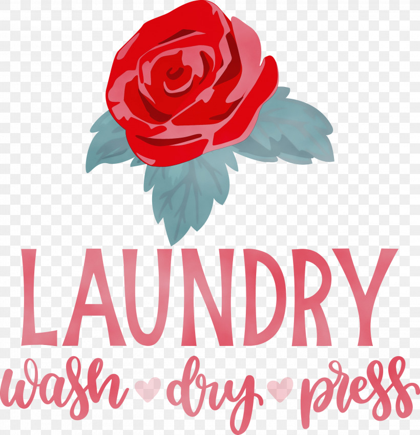 Garden Roses, PNG, 2891x3000px, Laundry, Cut Flowers, Dry, Floral Design, Flower Download Free