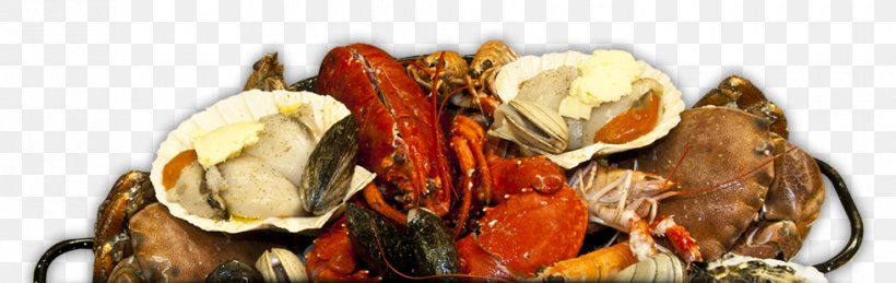 Seafood Cioppino Plateau De Fruits De Mer Lobster Loch Leven, PNG, 980x310px, Seafood, Animal Source Foods, Chef, Cioppino, Dish Download Free