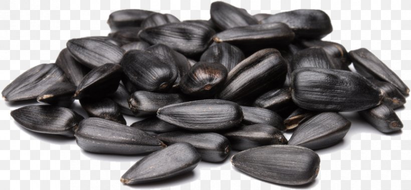 Sunflower Seed Common Sunflower Clip Art, PNG, 864x401px, Sunflower Seed, Common Sunflower, Dried Fruit, Food, Fruit Download Free