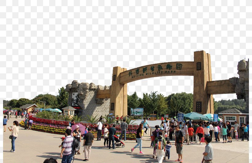Beijing Wildlife Park Badaling Beijing Wild Animal Park Uff08Northwest Gate 2uff09 Zoo Safari Park, PNG, 800x533px, Beijing Wildlife Park, Badaling, Beijing, Daxing District, Park Download Free