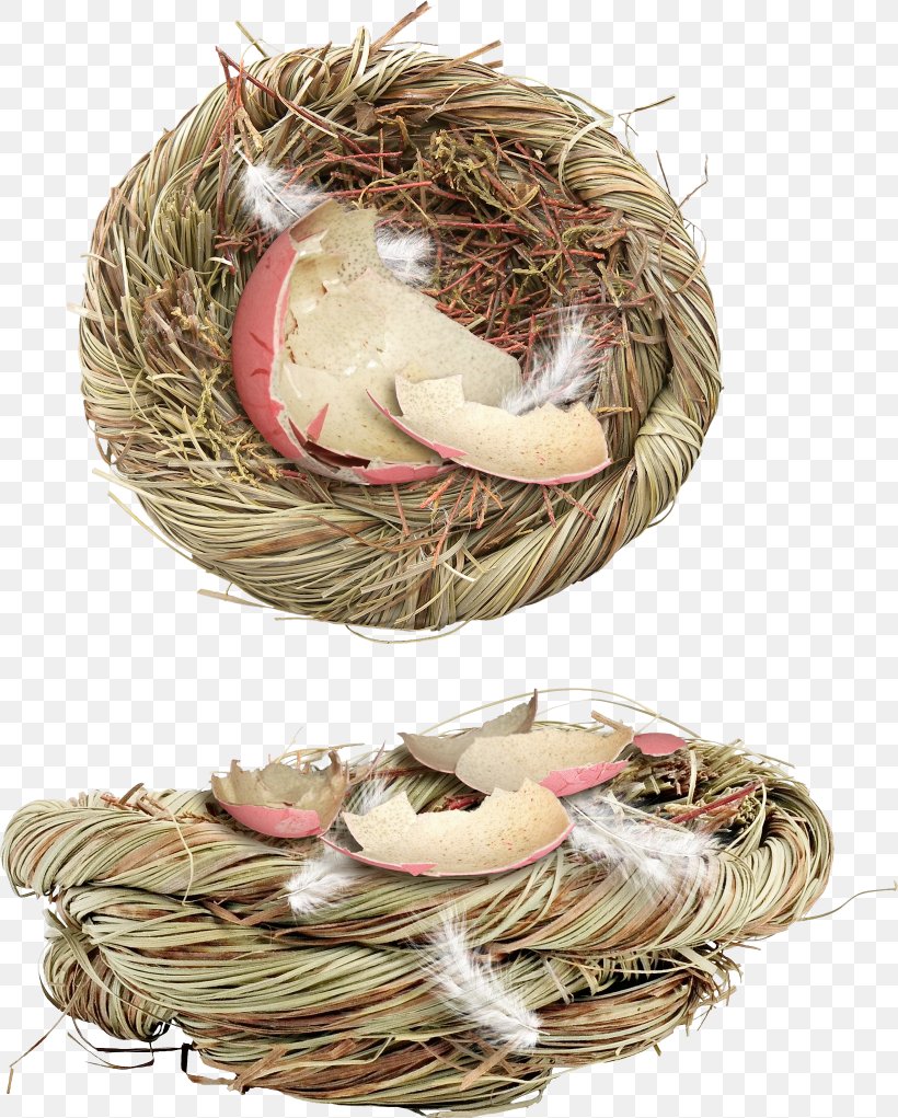 Bird Nest Clip Art, PNG, 1640x2042px, Bird Nest, Bird, Chicken Egg, Easter Bunny, Easter Egg Download Free