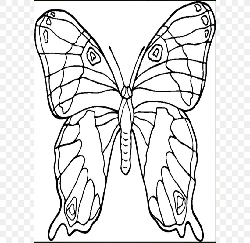 Butterfly Coloring Book Animals That Hibernate Child Adult, PNG, 600x800px, Butterfly, Adult, Animal, Animals That Hibernate, Black And White Download Free