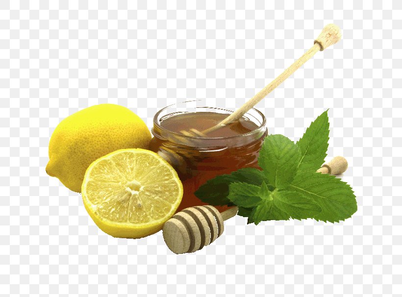 Elderflower Cordial Lemon Juice Cider Liquorice, PNG, 800x606px, Elderflower Cordial, Aloe Vera, Cider, Drink, Elderberry Download Free