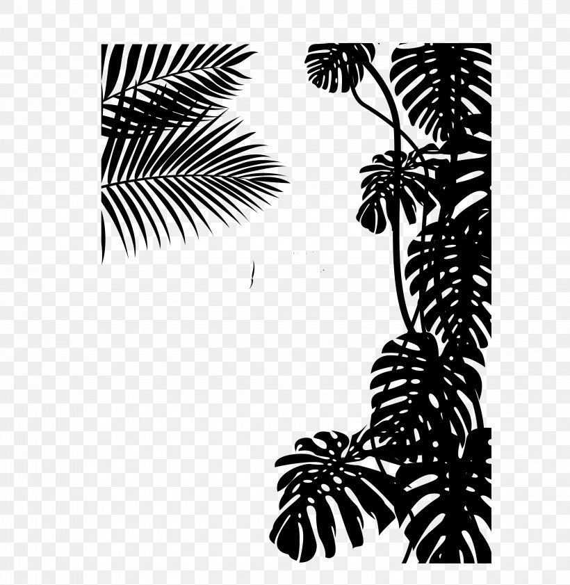 Palm Trees Black & White, PNG, 5877x6031px, Palm Trees, Arecales, Attalea Speciosa, Black M, Black White M Download Free