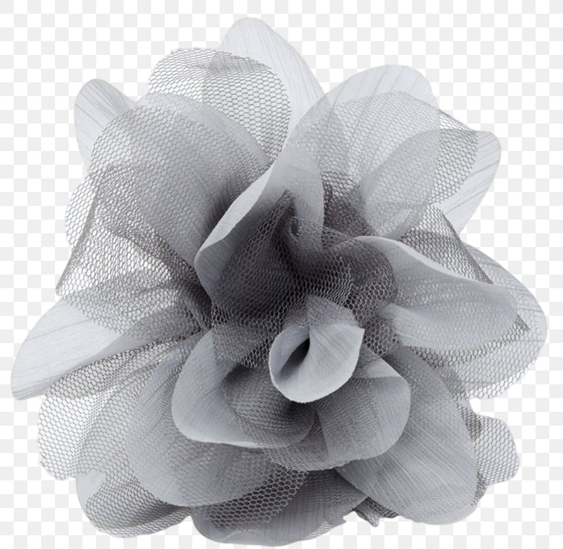Petal Silver Flower Grey White, PNG, 800x800px, Petal, Black, Black And