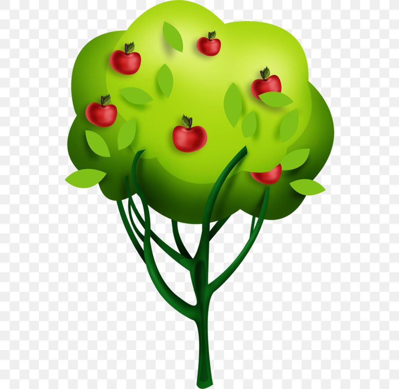 Tree Drawing Apple, PNG, 554x800px, Tree, Apple, Art, Auglis, Cartoon Download Free