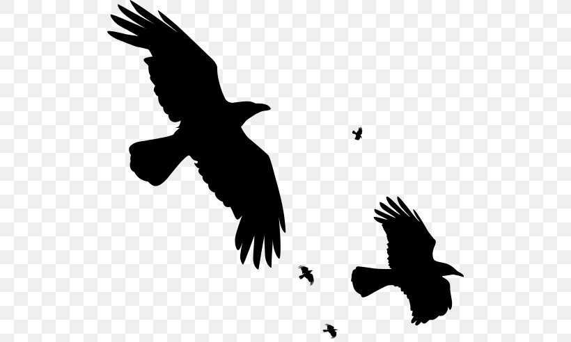 Common Raven Bird T-shirt Silhouette, PNG, 512x492px, Common Raven, Beak, Bird, Bird Of Prey, Black And White Download Free