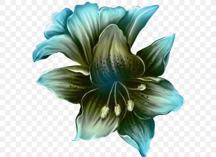 Flower Floral Design Clip Art, PNG, 585x598px, Flower, Amaryllis Belladonna, Art, Blossom, Blue Download Free
