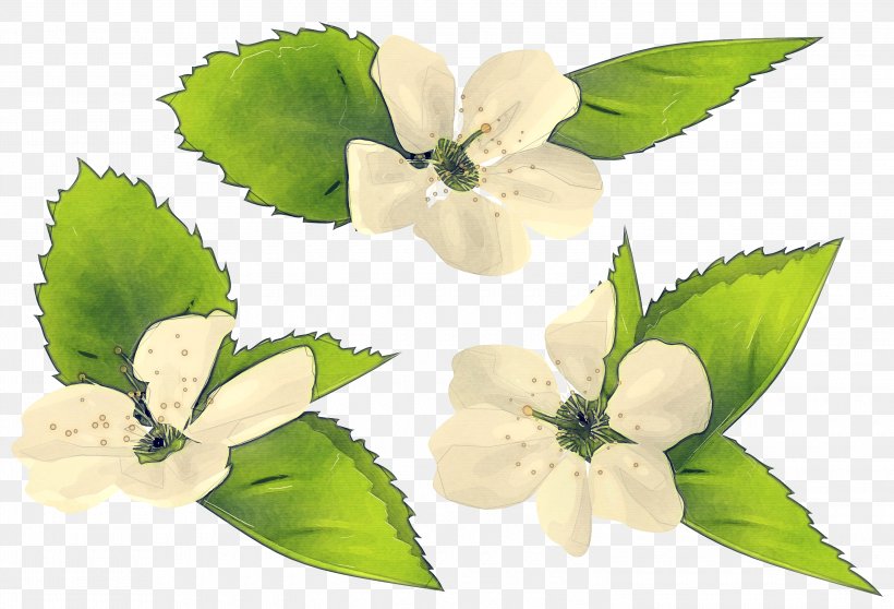 Artificial Flower, PNG, 3000x2045px, Flower, Artificial Flower, Flowering Plant, Impatiens, Leaf Download Free