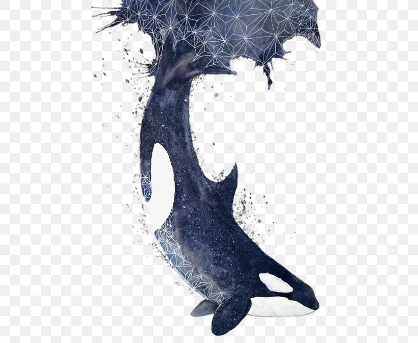 Killer Whale Cetacea Blue Whale Dolphin Porpoise, PNG, 480x673px, Killer Whale, Art, Blue Whale, Cetacea, Dolphin Download Free