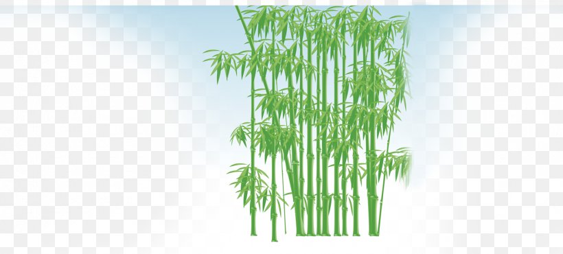 Bamboo Bamboe Gratis, PNG, 1471x665px, Bamboo, Bamboe, Energy, Grass, Grass Family Download Free