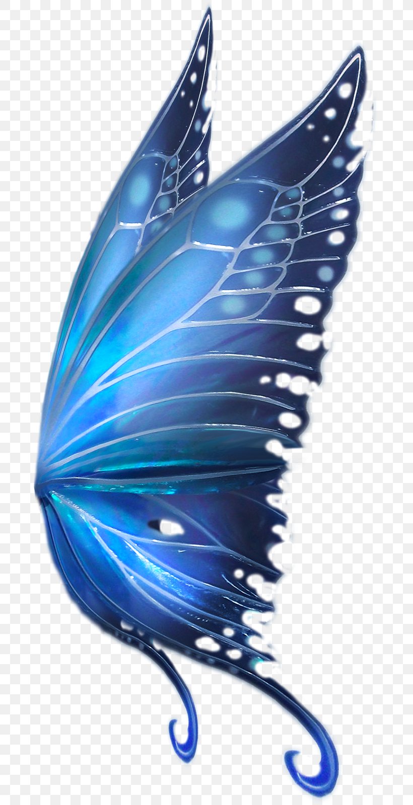 Butterfly Drawing Fairy Bird, PNG, 685x1600px, Butterfly, Bird, Blue, Butterflies And Moths, Computer Software Download Free