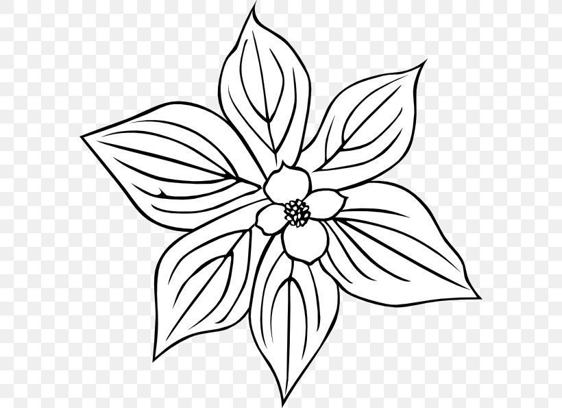 Rosa Acicularis Flower Petal Clip Art, PNG, 588x595px, Rosa Acicularis, Area, Artwork, Black And White, Coloring Book Download Free