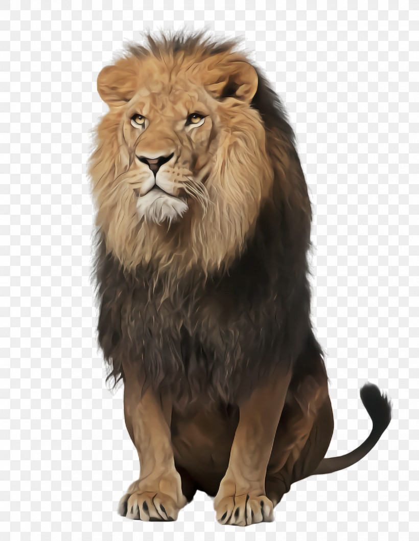 Lion Masai Lion Wildlife Roar, PNG, 1760x2272px, Lion, Masai Lion, Roar, Wildlife Download Free