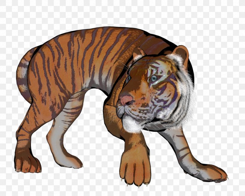Tiger Cat Whiskers Fauna Illustration, PNG, 900x720px, Tiger, Animal, Big Cat, Big Cats, Carnivoran Download Free