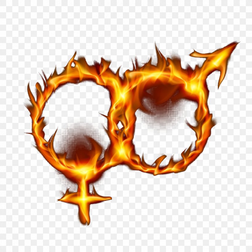 Flame Gender Symbol Fire Clip Art, PNG, 888x888px, Flame, Female, Fire, Gender Symbol, Male Download Free