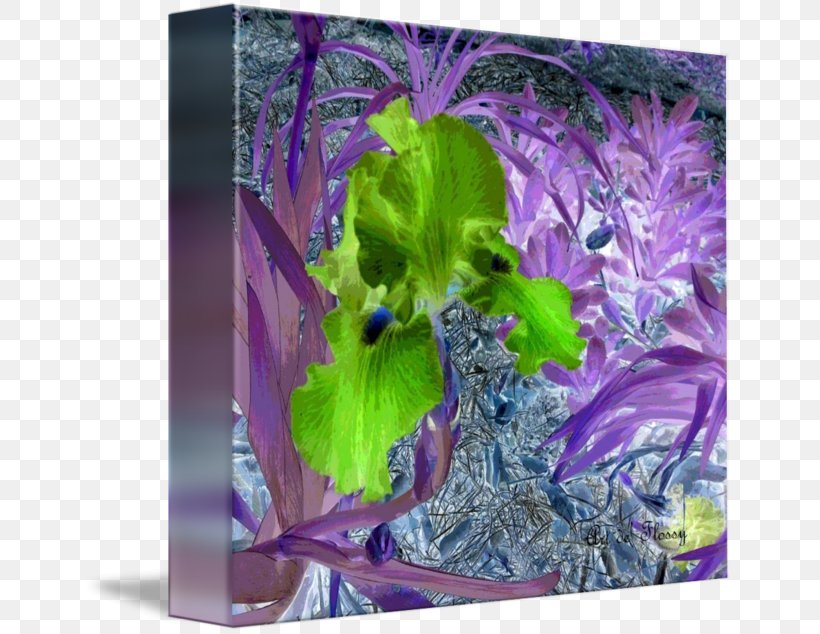 Leaf Herb, PNG, 650x634px, Leaf, Herb, Organism, Plant, Purple Download Free