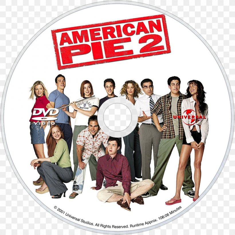 Steve Stifler Paul Finch Jim Levenstein American Pie Film, PNG, 1000x1000px, Steve Stifler, Adam Herz, American Pie, American Pie 2, Brand Download Free