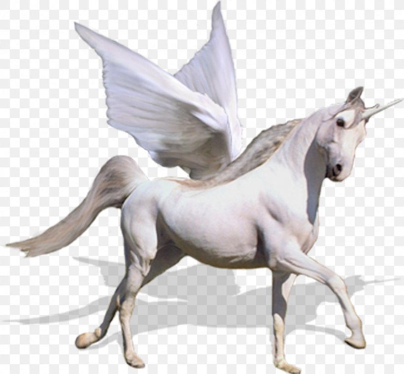 Unicorn Horse Caballo Alado, PNG, 1601x1485px, Unicorn, Caballo Alado, Fictional Character, Figurine, Horse Download Free