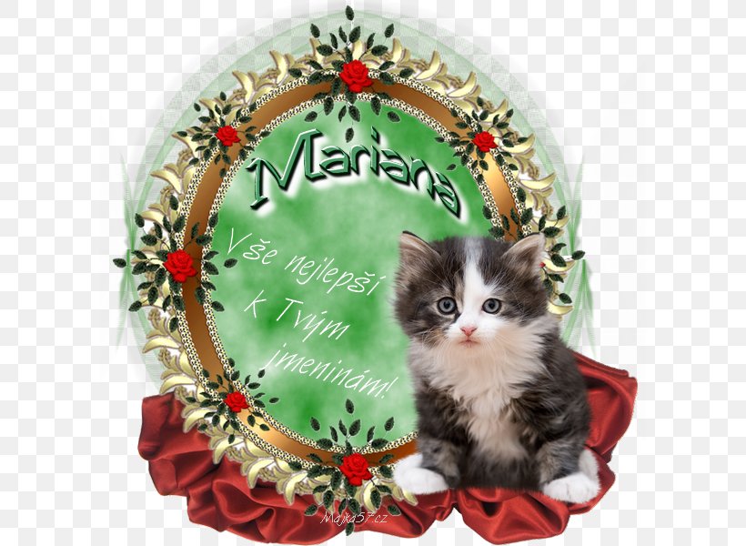Whiskers Holiday Cat Name Day, PNG, 600x600px, Whiskers, Bed, Cat, Cat Like Mammal, Christmas Download Free