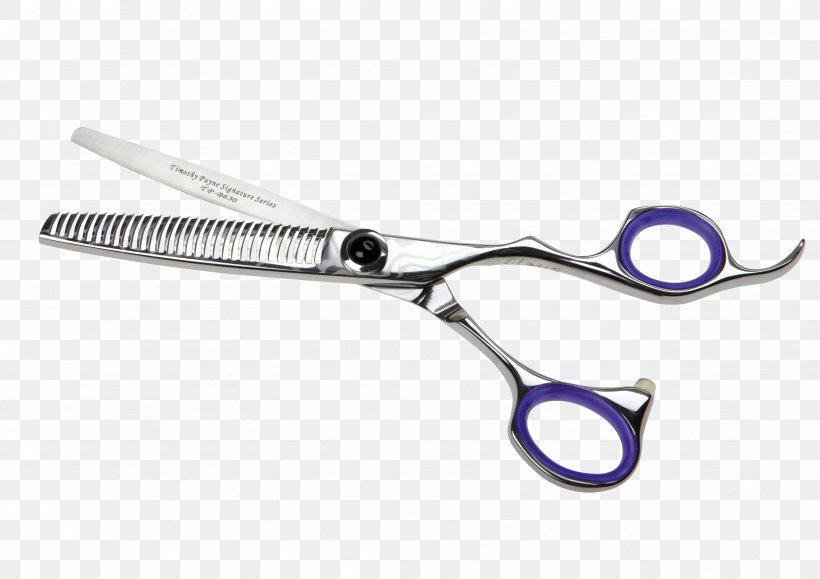 Hair Shear Scissors Product Design Human Factors And Ergonomics, PNG, 3508x2480px, Hair Shear, Cutting Tool, Eastern Suburbs Afc, Evidence, Hair Download Free