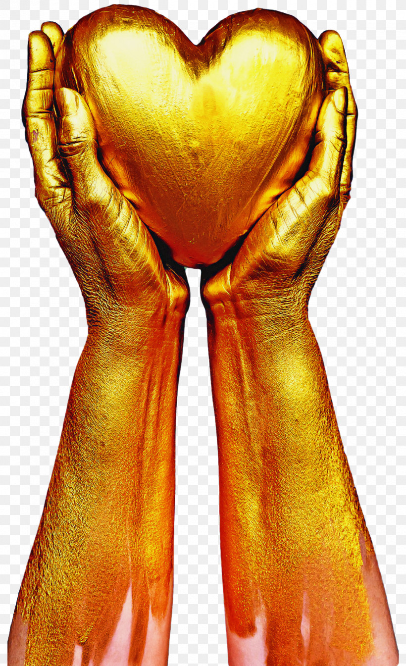 Hand Heart Muscle Human Body Gold, PNG, 1200x1969px, Hand, Arm, Gold, Health Care, Heart Download Free