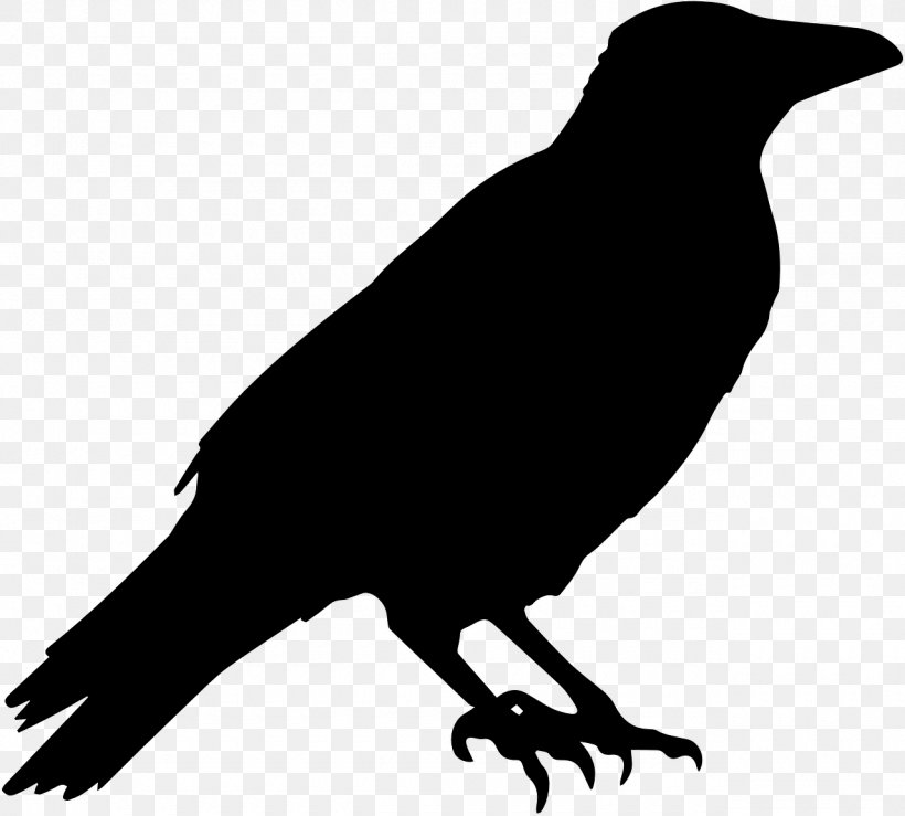 American Crow Common Raven Clip Art, PNG, 1280x1154px, American Crow ...