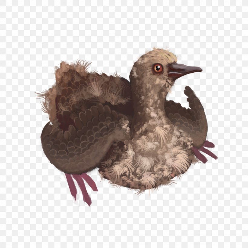 Squab Bird Columbidae Domestic Pigeon Passenger Pigeon, PNG, 1024x1024px, Squab, Animal, Aviary, Beak, Bird Download Free