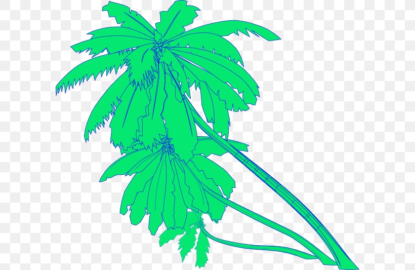 Arecaceae Clip Art, PNG, 600x533px, Arecaceae, Arecales, Branch, Flowering Plant, Hemp Download Free